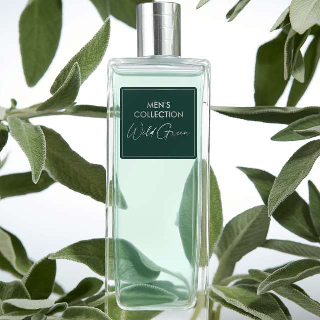 ادوتویلت مردانه منز کالکشن وایلدگرین 75میل Mens Collection Wild Green EdT